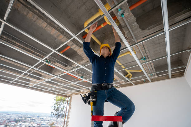 Best Leak Detection Services  in Lenoir City, TN