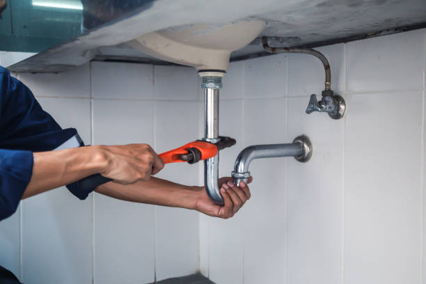 Best Plumbing Services Near Me  in Lenoir City, TN