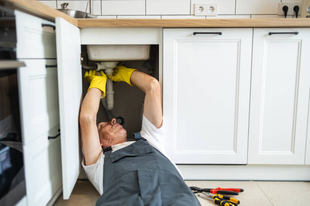 Professional Plumbing in Lenoir City, TN